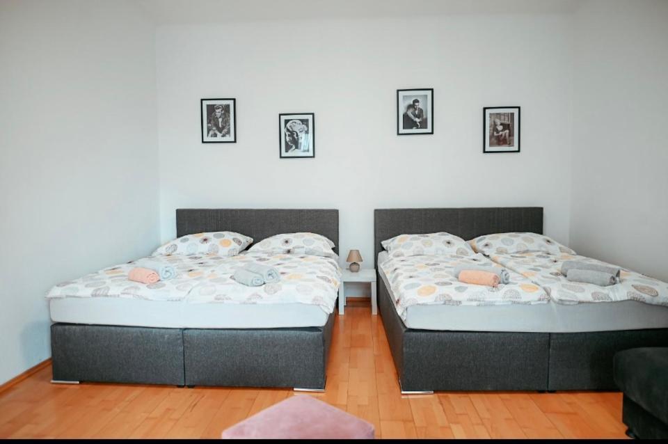 Raimond Apartment Top 27 비엔나 외부 사진